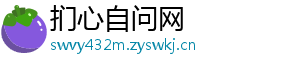 扪心自问网